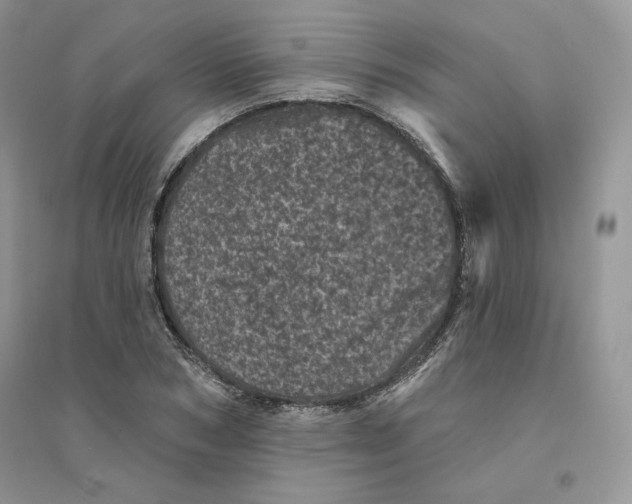 X0000094440978200711291631