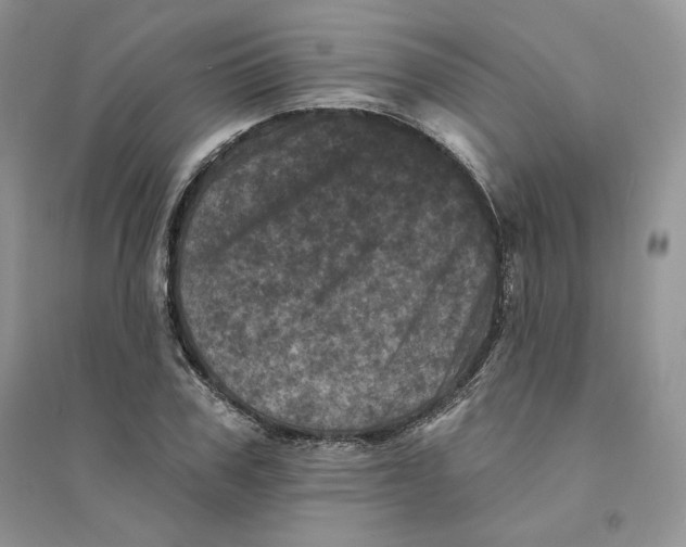 X0000094440979200711291631