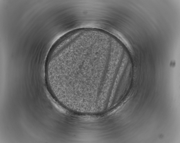 X0000094440980200711291631