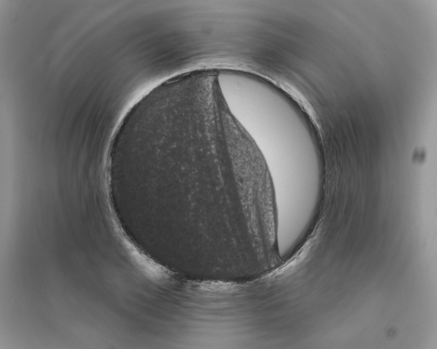 X0000094440981200711291631