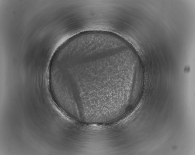 X0000094440982200711291631