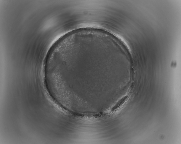 X0000094440983200711291631