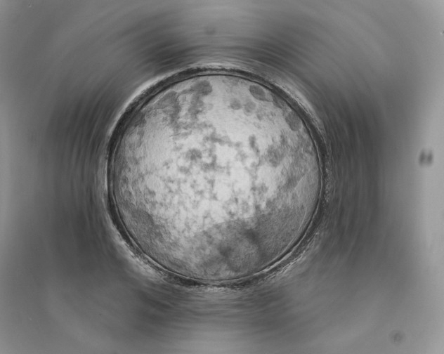 X0000094440984200711291631