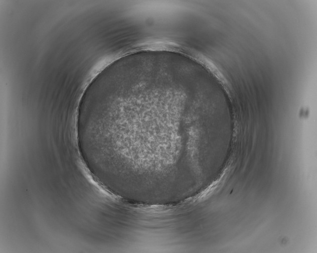 X0000094440986200711291631