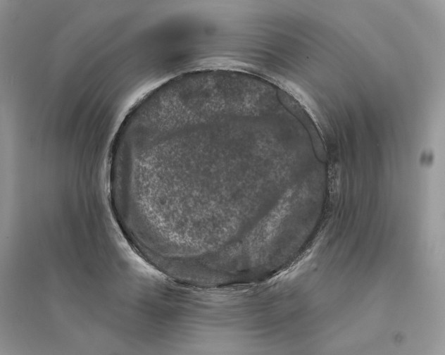 X0000094440987200711291631