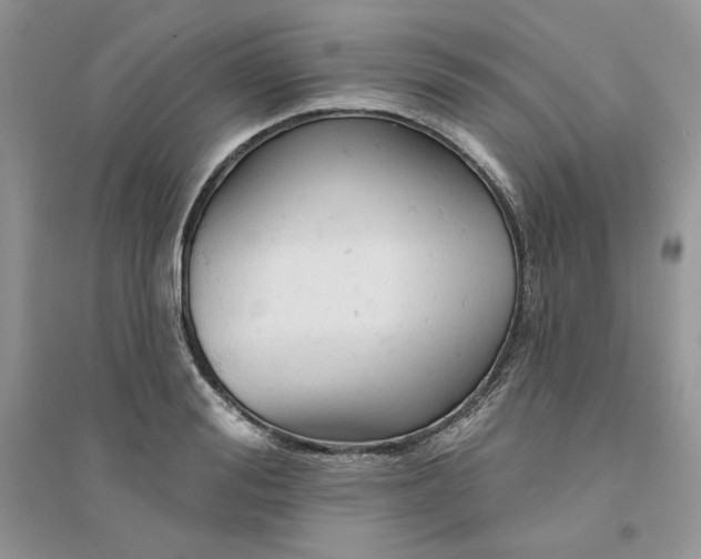 X0000094440988200711291631