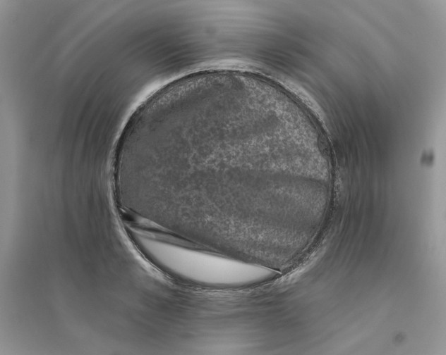 X0000094440989200711291631