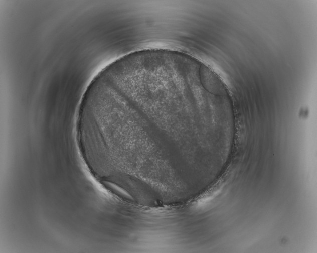 X0000094440991200711291631