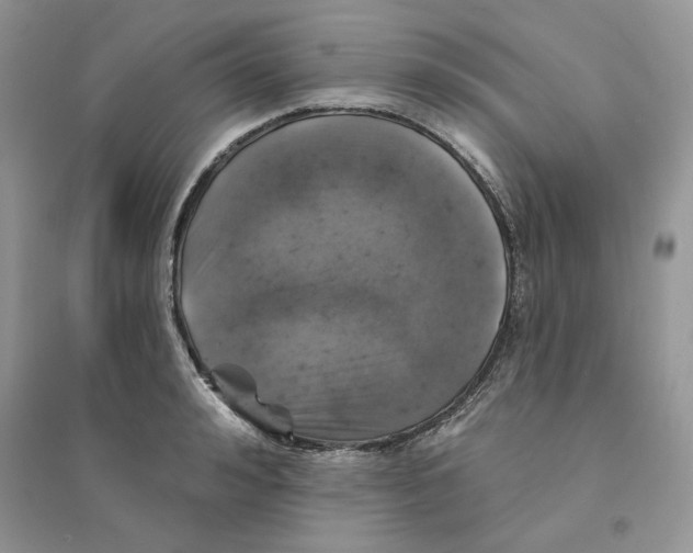 X0000094440992200711291631