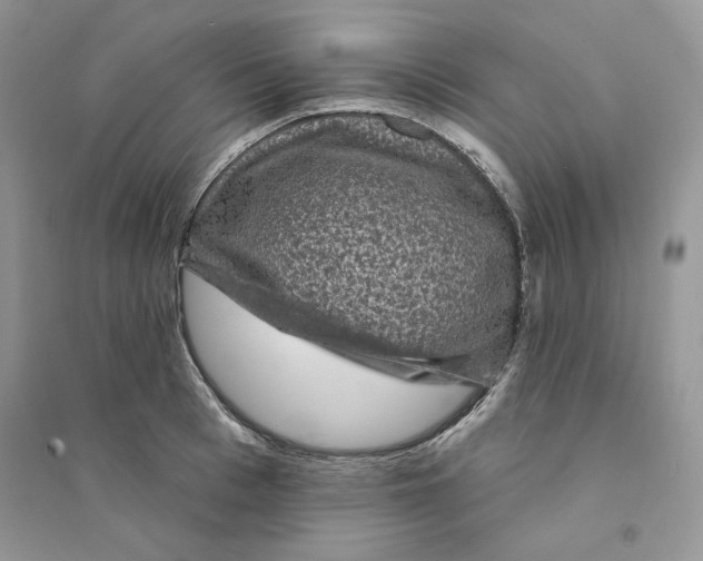 X0000094440993200711291631