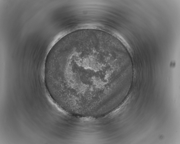 X0000094440994200711291631