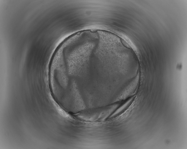 X0000094440996200711291631