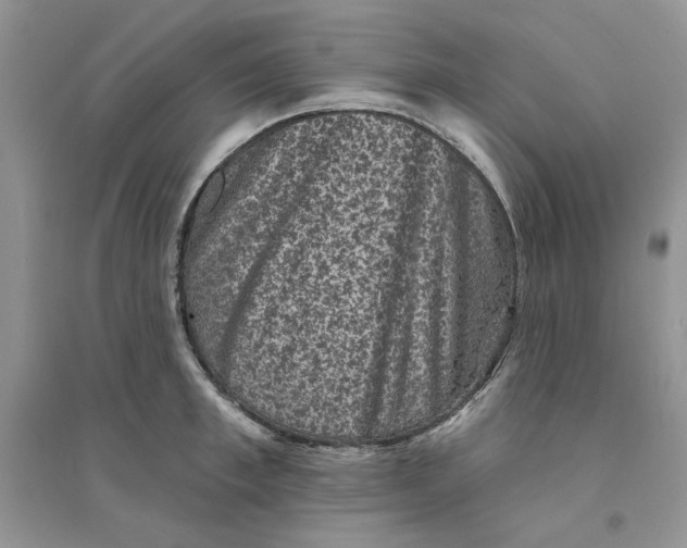 X0000094440997200711291631