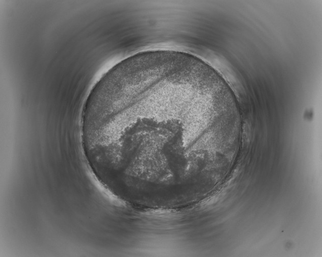 X0000094440998200711291631