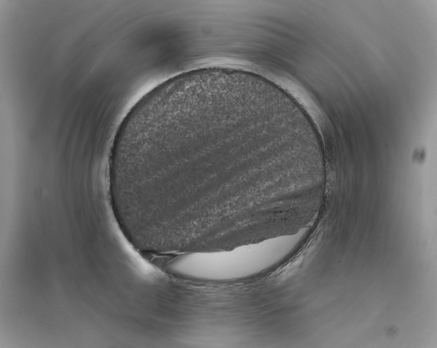 X0000094440999200711291631