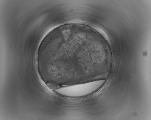 X0000094441000200711291631