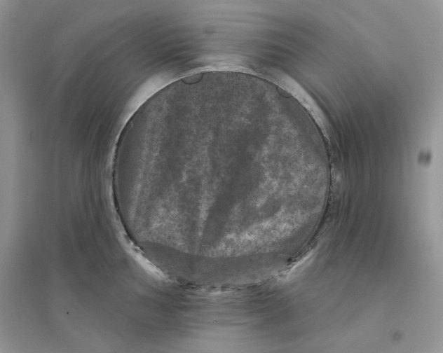 X0000094441002200711291631