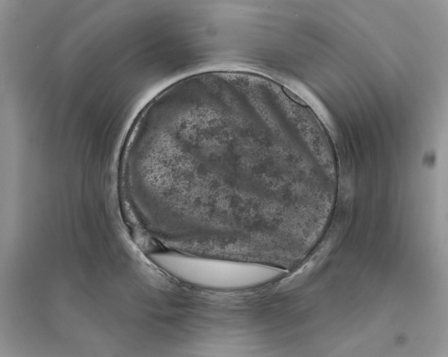 X0000094441004200711291631