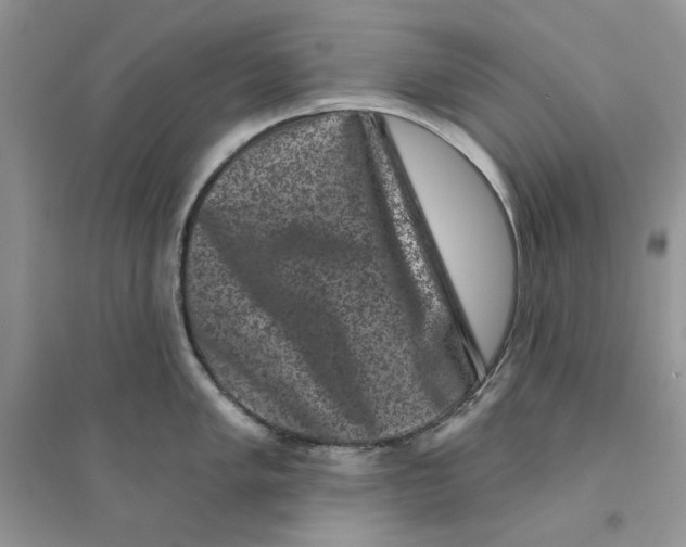 X0000094441005200711291631