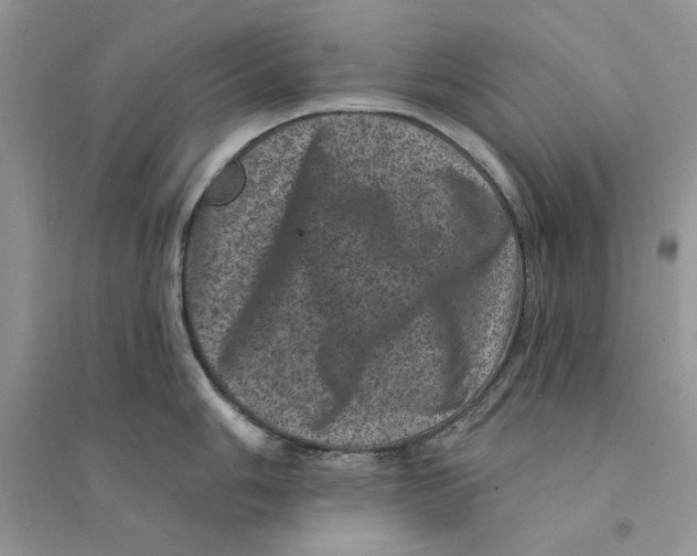 X0000094441006200711291631