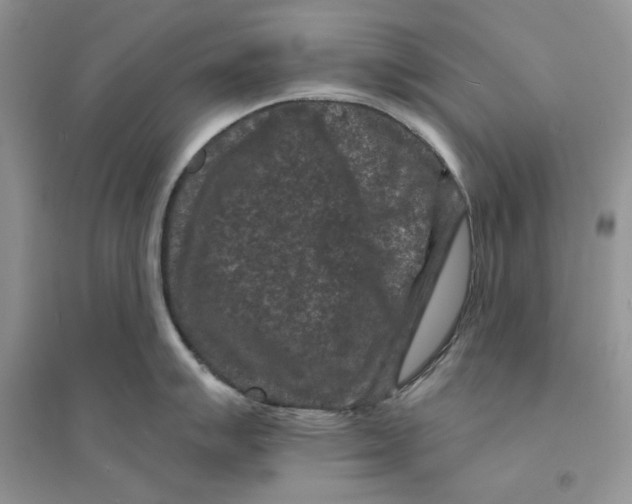 X0000094441007200711291631