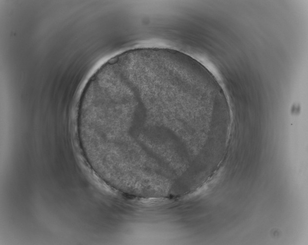 X0000094441008200711291631