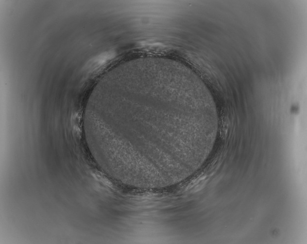 X0000094441010200711291630