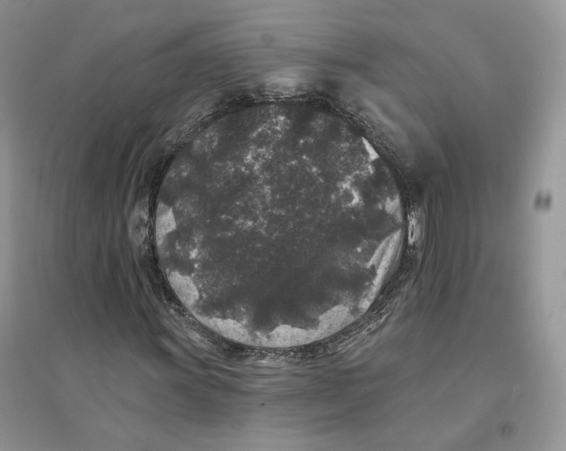 X0000094441011200711291630