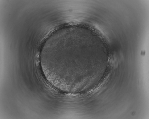 X0000094441012200711291630