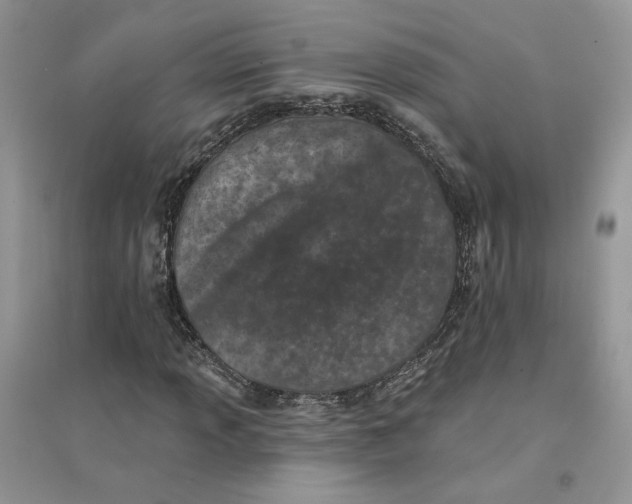 X0000094441013200711291630