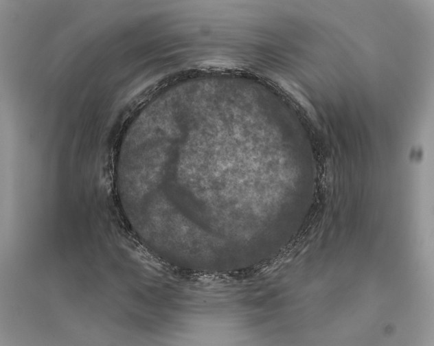 X0000094441015200711291630