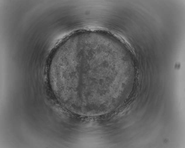 X0000094441016200711291630