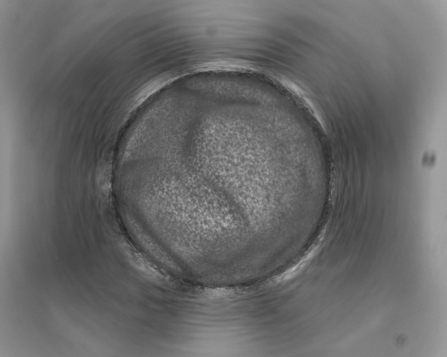 X0000094441017200711291630