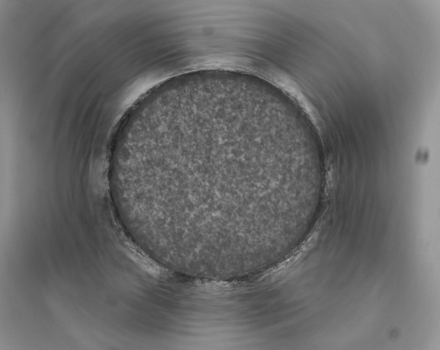 X0000094441019200711291630