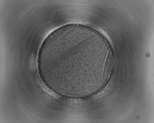 X0000094441020200711291630