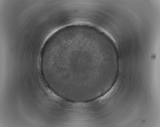 X0000094441021200711291630