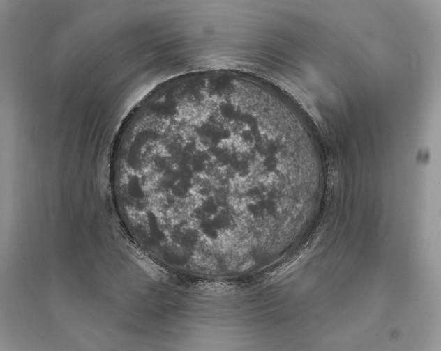 X0000094441023200711291630