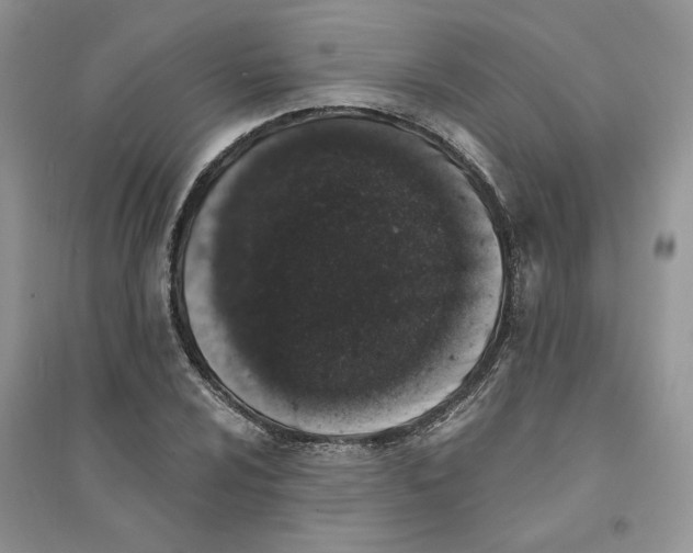 X0000094441024200711291631