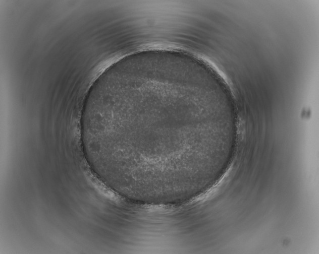 X0000094441025200711291631