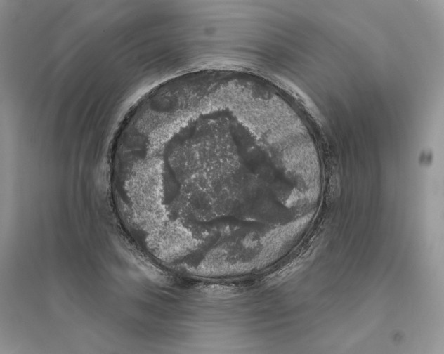 X0000094441027200711291631