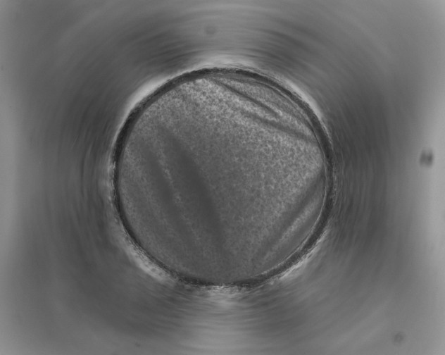 X0000094441029200711291631