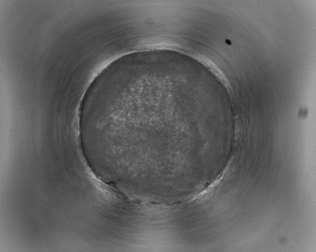 X0000094441031200711291631