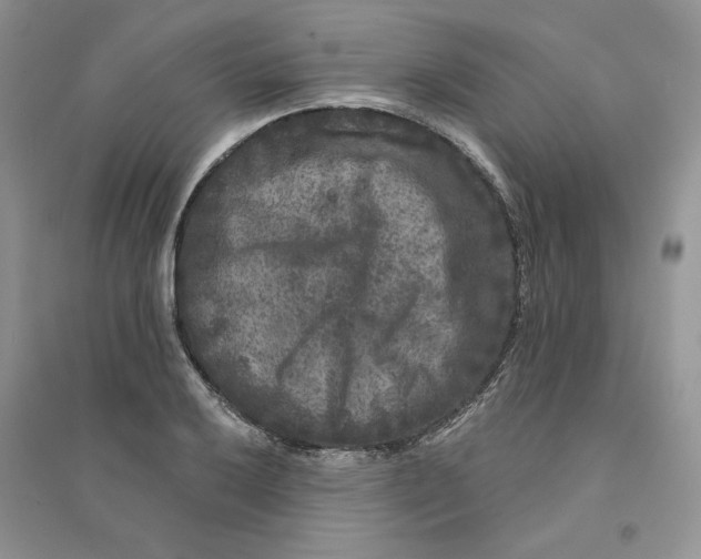 X0000094441032200711291631