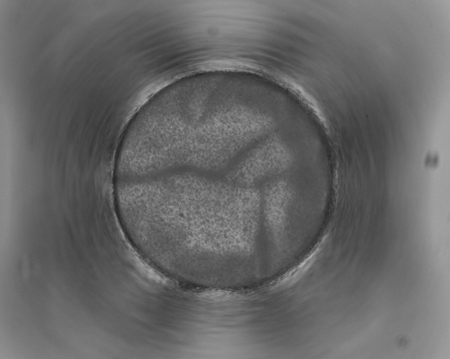 X0000094441033200711291631