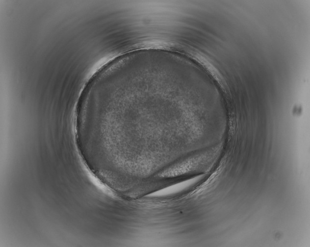 X0000094441034200711291631