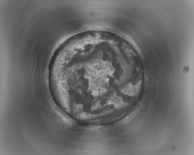 X0000094441035200711291631