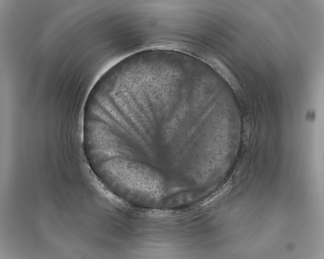 X0000094441036200711291631