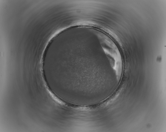 X0000094441037200711291631