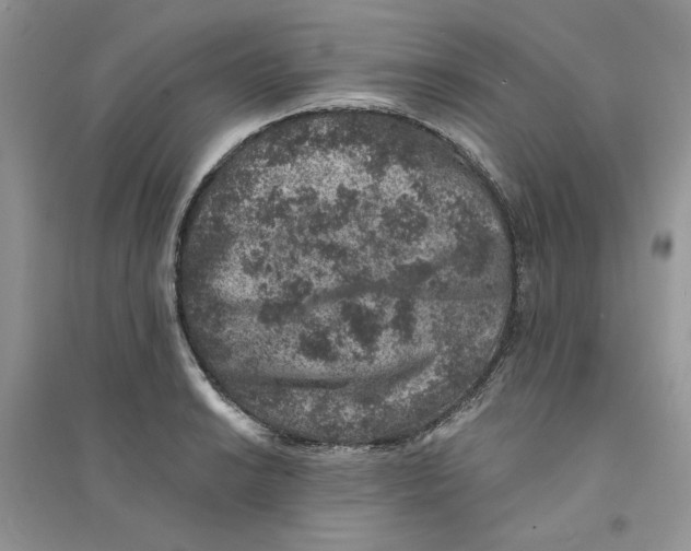 X0000094441038200711291631