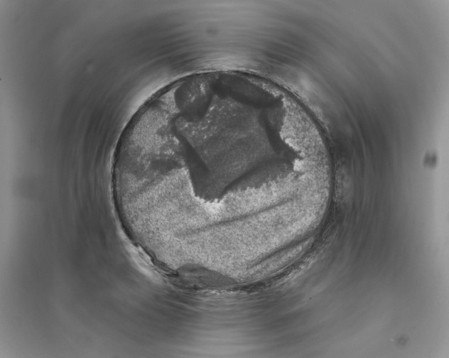 X0000094441039200711291631